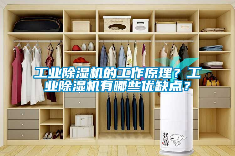 工業(yè)除濕機(jī)的工作原理？工業(yè)除濕機(jī)有哪些優(yōu)缺點(diǎn)？