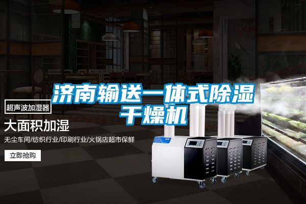 濟(jì)南輸送一體式除濕干燥機