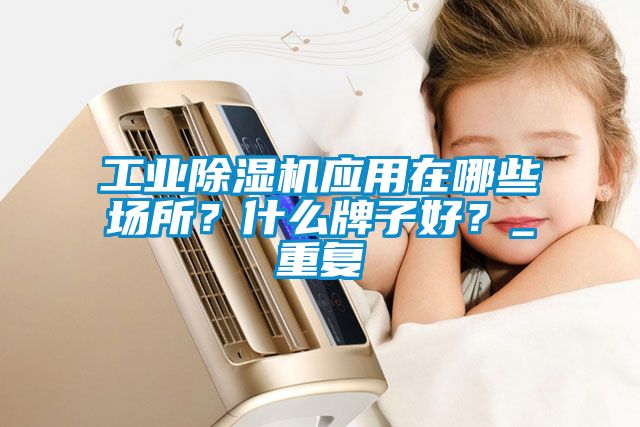 工業(yè)除濕機(jī)應(yīng)用在哪些場(chǎng)所？什么牌子好？_重復(fù)