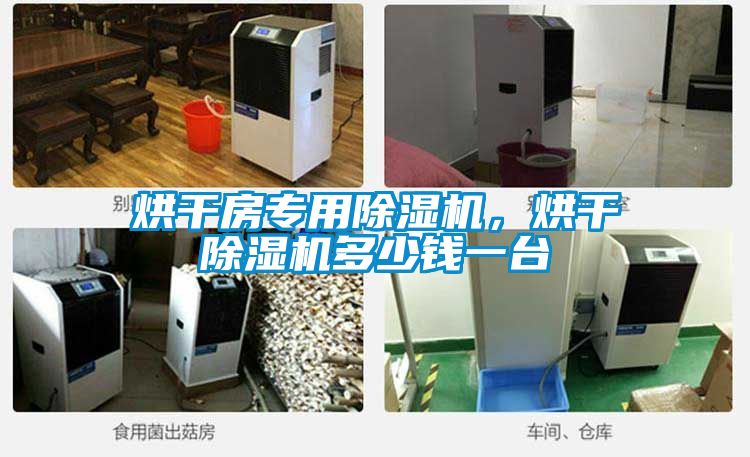 烘干房專(zhuān)用除濕機(jī)，烘干除濕機(jī)多少錢(qián)一臺(tái)