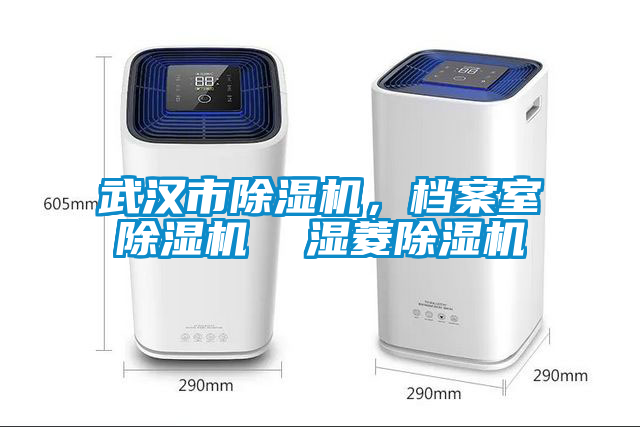 武漢市除濕機(jī)，檔案室除濕機(jī)  濕菱除濕機(jī)