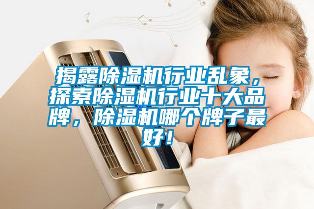 揭露除濕機(jī)行業(yè)亂象，探索除濕機(jī)行業(yè)十大品牌，除濕機(jī)哪個(gè)牌子最好！