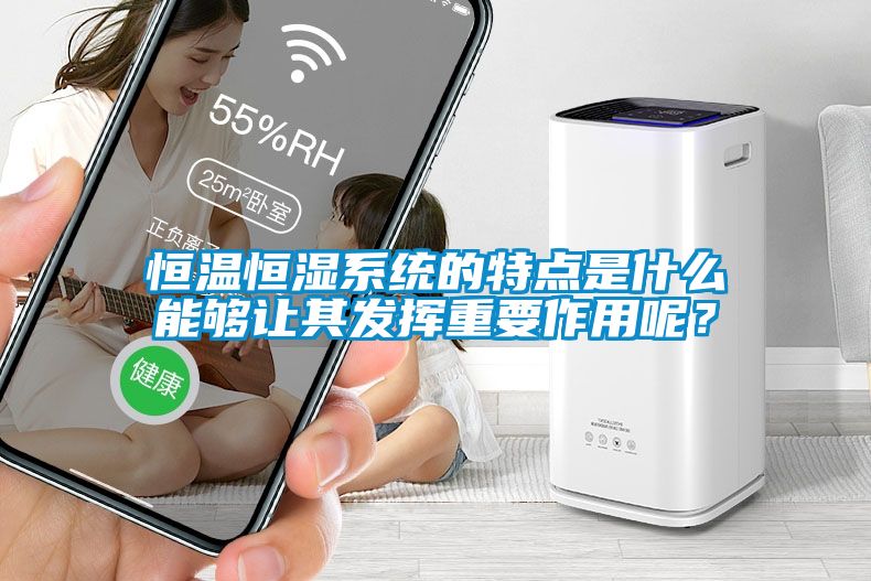 恒溫恒濕系統(tǒng)的特點(diǎn)是什么能夠讓其發(fā)揮重要作用呢？