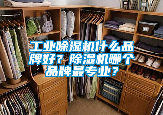 工業(yè)除濕機(jī)什么品牌好？除濕機(jī)哪個(gè)品牌最專業(yè)？