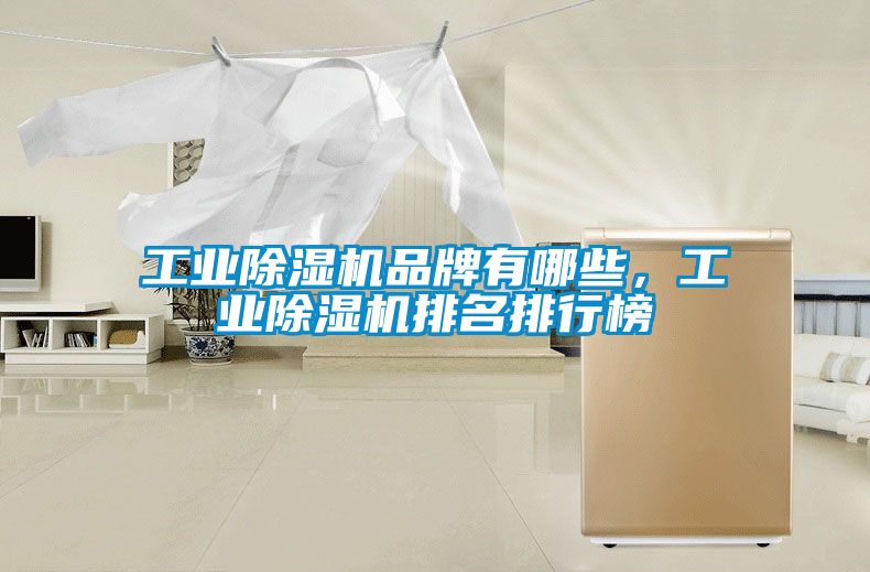 工業(yè)除濕機(jī)品牌有哪些，工業(yè)除濕機(jī)排名排行榜