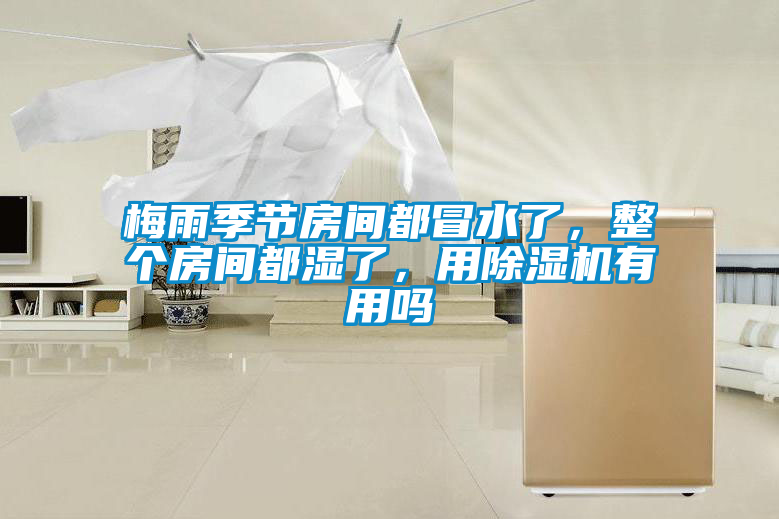 梅雨季節(jié)房間都冒水了，整個(gè)房間都濕了，用除濕機(jī)有用嗎