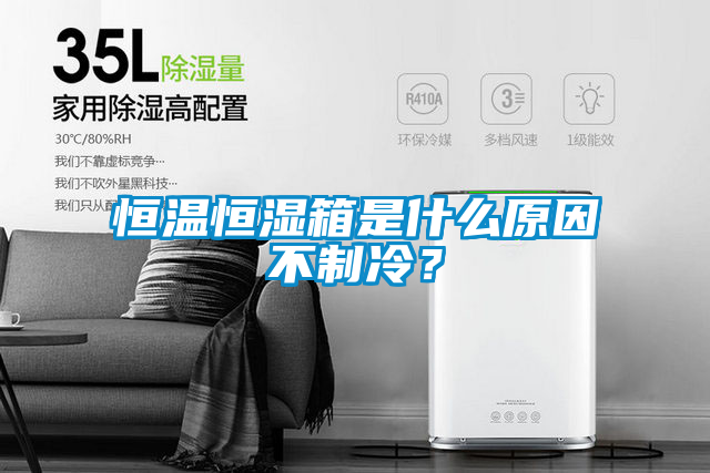 恒溫恒濕箱是什么原因不制冷？