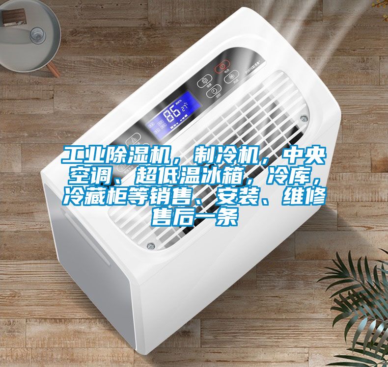 工業(yè)除濕機，制冷機，中央空調(diào)、超低溫冰箱，冷庫，冷藏柜等銷售、安裝、維修售后一條