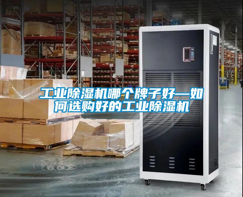 工業(yè)除濕機(jī)哪個牌子好—如何選購好的工業(yè)除濕機(jī)