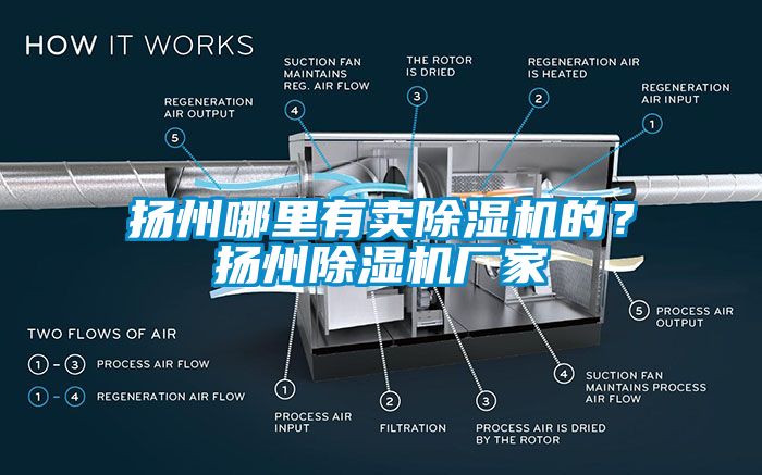 揚(yáng)州哪里有賣除濕機(jī)的？揚(yáng)州除濕機(jī)廠家