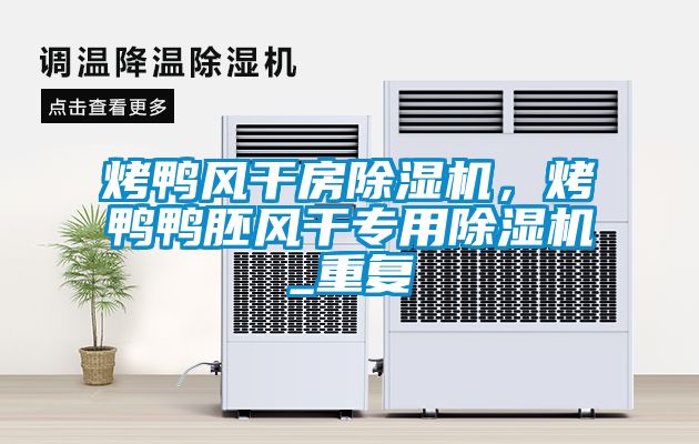 烤鴨風(fēng)干房除濕機(jī)，烤鴨鴨胚風(fēng)干專用除濕機(jī)_重復(fù)