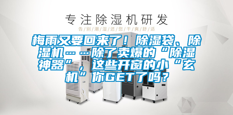 梅雨又要回來(lái)了！除濕袋、除濕機(jī)……除了賣爆的“除濕神器”，這些開(kāi)窗的小“玄機(jī)”你GET了嗎？