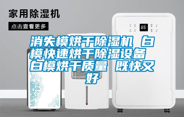 消失模烘干除濕機 白?？焖俸娓沙凉裨O(shè)備 白模烘干質(zhì)量 既快又好