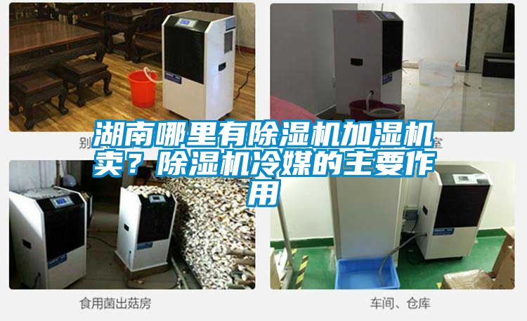 湖南哪里有除濕機(jī)加濕機(jī)賣(mài)？除濕機(jī)冷媒的主要作用
