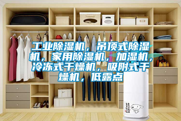 工業(yè)除濕機(jī)，吊頂式除濕機(jī)，家用除濕機(jī)，加濕機(jī)，冷凍式干燥機(jī)，吸附式干燥機(jī)，低露點(diǎn)