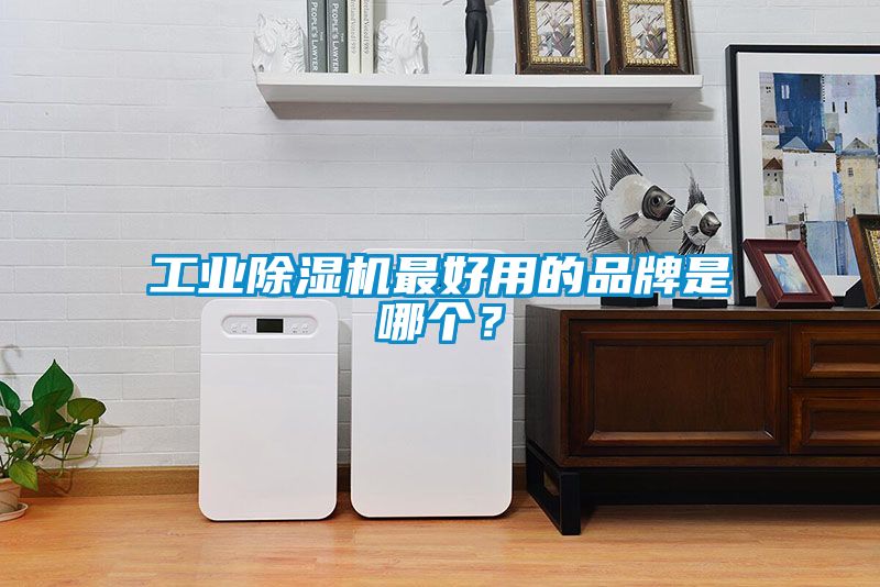 工業(yè)除濕機(jī)最好用的品牌是哪個(gè)？