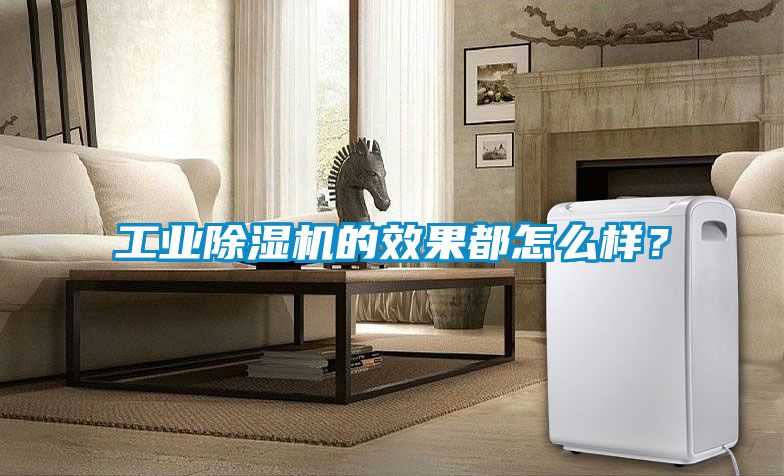 工業(yè)除濕機(jī)的效果都怎么樣？