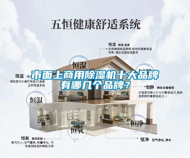 市面上商用除濕機(jī)十大品牌有哪幾個(gè)品牌？