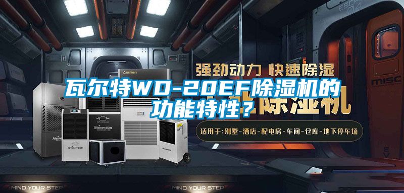 瓦爾特WD-20EF除濕機的功能特性？