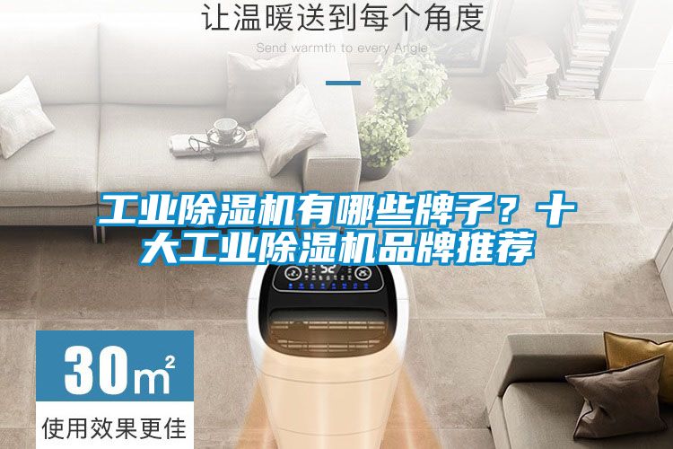 工業(yè)除濕機有哪些牌子？十大工業(yè)除濕機品牌推薦