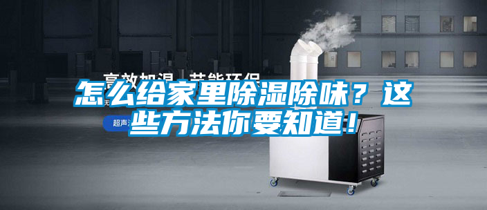 怎么給家里除濕除味？這些方法你要知道！