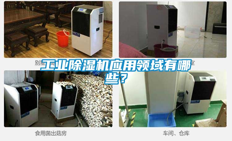 工業(yè)除濕機應(yīng)用領(lǐng)域有哪些？