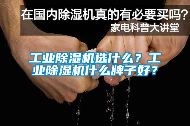 工業(yè)除濕機選什么？工業(yè)除濕機什么牌子好？