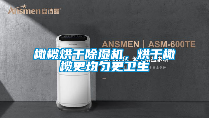 橄欖烘干除濕機，烘干橄欖更均勻更衛(wèi)生