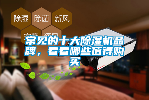 常見的十大除濕機品牌，看看哪些值得購買