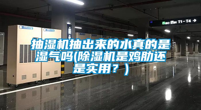 抽濕機(jī)抽出來(lái)的水真的是濕氣嗎(除濕機(jī)是雞肋還是實(shí)用？)