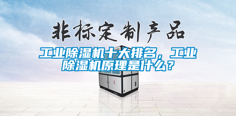 工業(yè)除濕機(jī)十大排名，工業(yè)除濕機(jī)原理是什么？