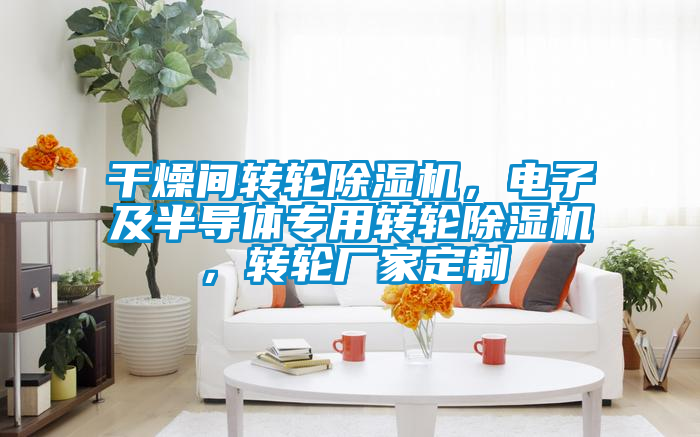 干燥間轉輪除濕機，電子及半導體專用轉輪除濕機，轉輪廠家定制