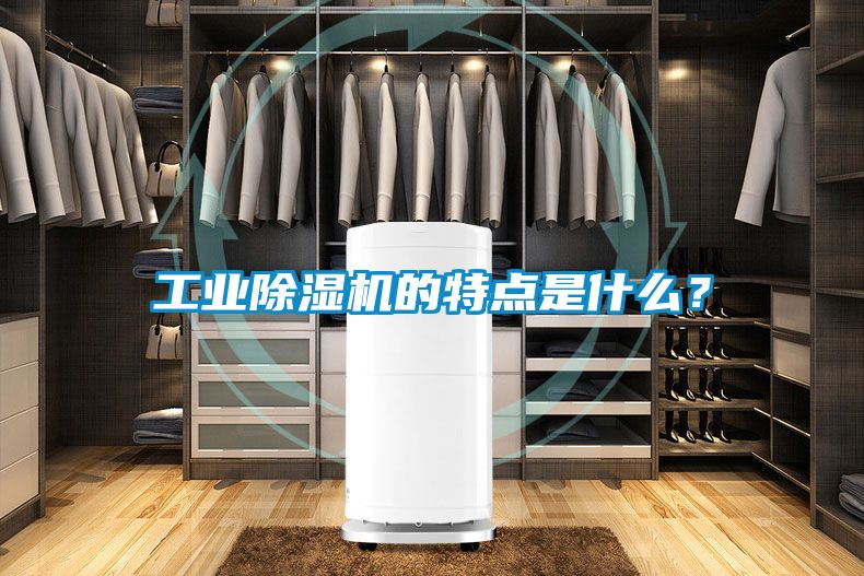 工業(yè)除濕機(jī)的特點(diǎn)是什么？
