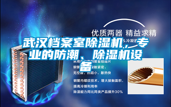 武漢檔案室除濕機(jī)，專業(yè)的防潮、除濕機(jī)設(shè)備