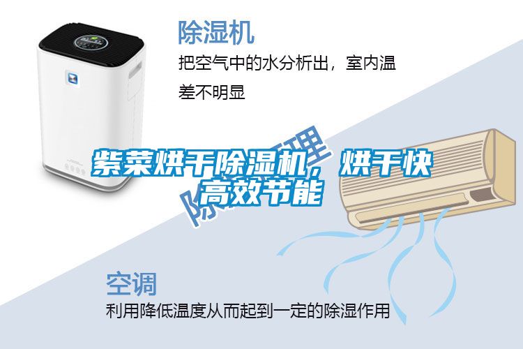 紫菜烘干除濕機(jī)，烘干快高效節(jié)能