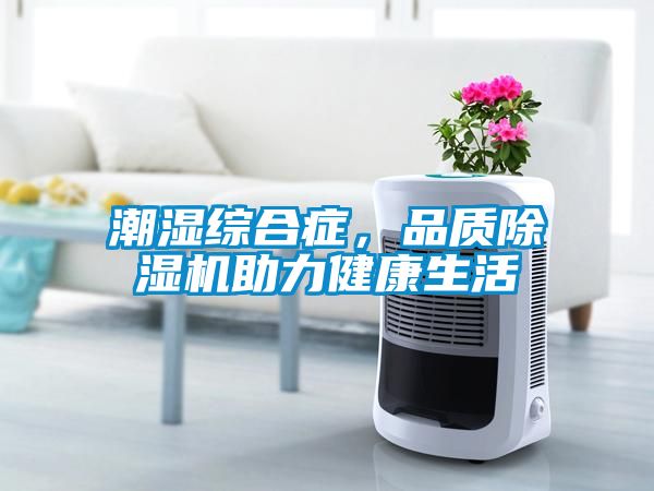 潮濕綜合癥，品質(zhì)除濕機助力健康生活
