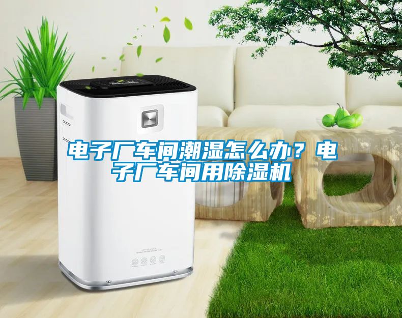電子廠車間潮濕怎么辦？電子廠車間用除濕機