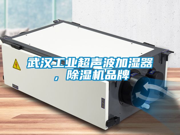 武漢工業(yè)超聲波加濕器，除濕機(jī)品牌