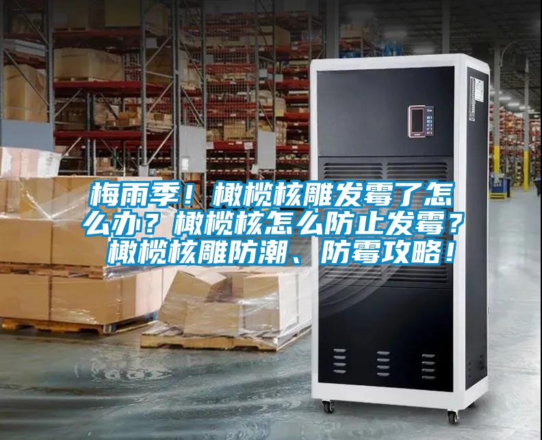 梅雨季！橄欖核雕發(fā)霉了怎么辦？橄欖核怎么防止發(fā)霉？ 橄欖核雕防潮、防霉攻略！