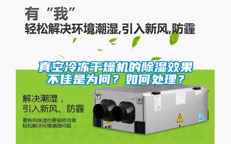 真空冷凍干燥機(jī)的除濕效果不佳是為何？如何處理？