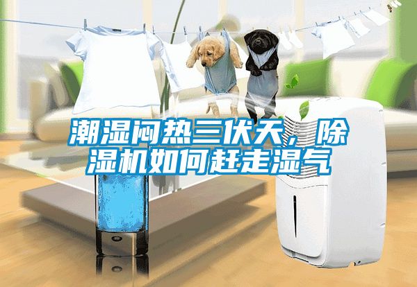 潮濕悶熱三伏天，除濕機(jī)如何趕走濕氣