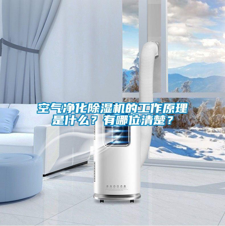空氣凈化除濕機(jī)的工作原理是什么？有哪位清楚？