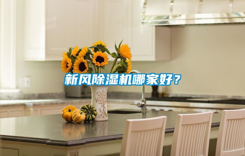 新風(fēng)除濕機(jī)哪家好？