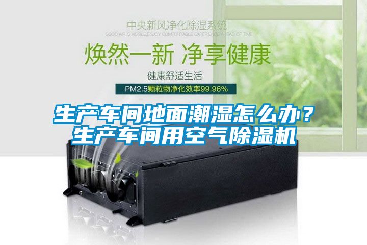 生產(chǎn)車(chē)間地面潮濕怎么辦？生產(chǎn)車(chē)間用空氣除濕機(jī)