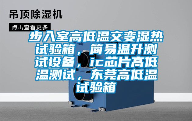 步入室高低溫交變濕熱試驗(yàn)箱，簡(jiǎn)易溫升測(cè)試設(shè)備，ic芯片高低溫測(cè)試，東莞高低溫試驗(yàn)箱