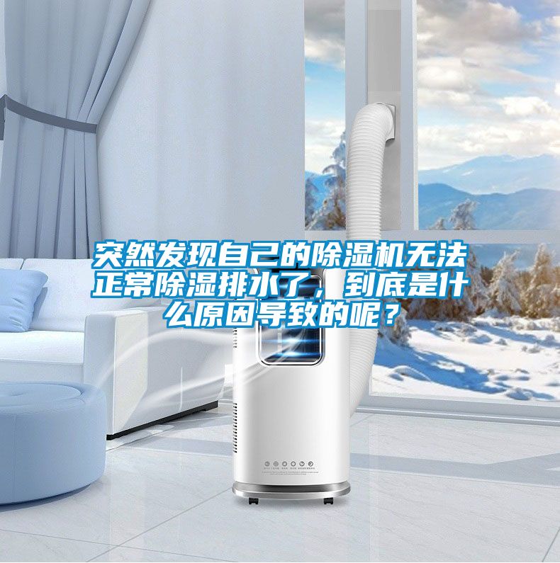 突然發(fā)現(xiàn)自己的除濕機(jī)無法正常除濕排水了，到底是什么原因?qū)е碌哪兀?/></p>
						    <p style=