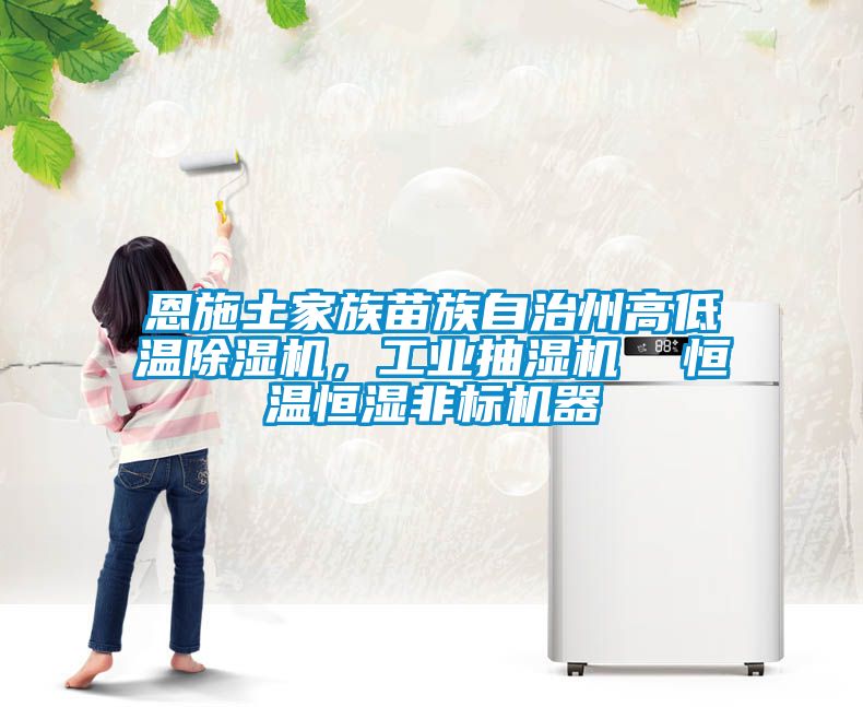 恩施土家族苗族自治州高低溫除濕機(jī)，工業(yè)抽濕機(jī)  恒溫恒濕非標(biāo)機(jī)器