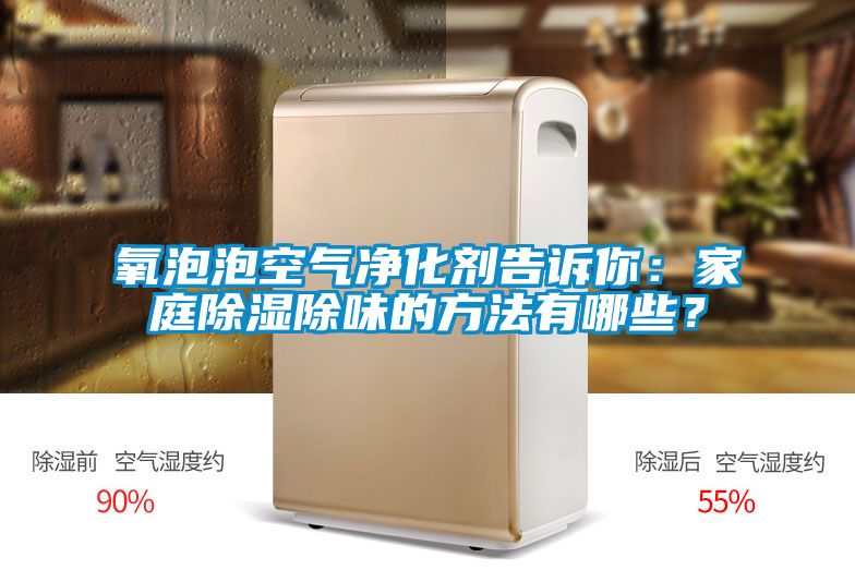 氧泡泡空氣凈化劑告訴你：家庭除濕除味的方法有哪些？