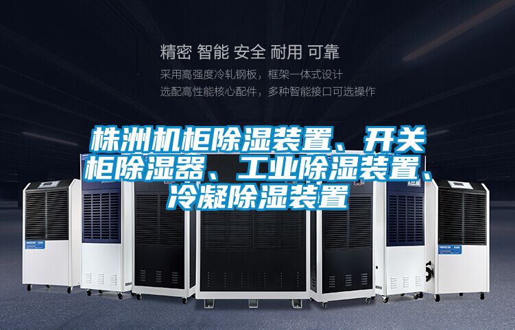 株洲機(jī)柜除濕裝置、開關(guān)柜除濕器、工業(yè)除濕裝置、冷凝除濕裝置
