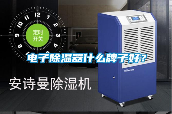 電子除濕器什么牌子好？